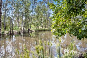 34 Rangeview, Gatton, QLD 4343 Australia